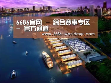案例展示八