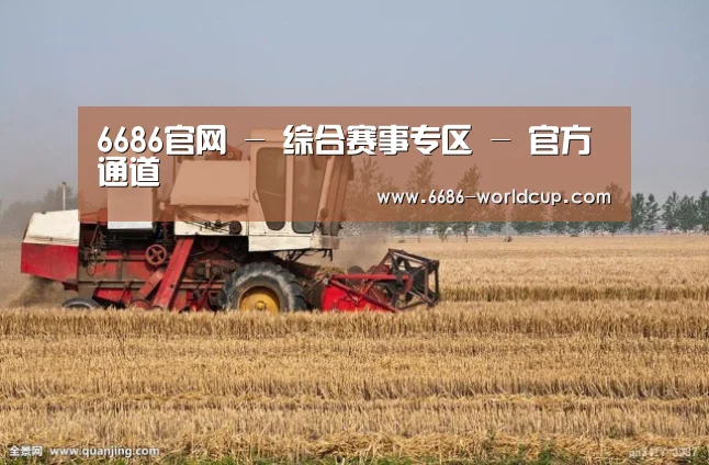 产品名称七