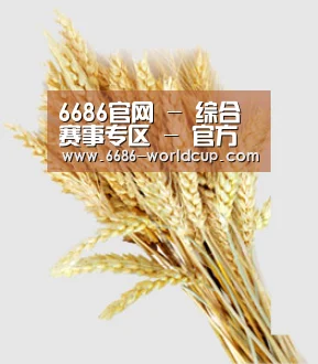 6686官网 - 综合赛事专区 - 官方通道